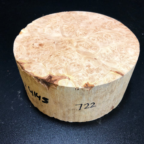 7x3.5 KD Maple Burl Wood Bowl Turning Blank (#00722)