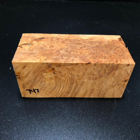 3"x3"x6" KD Maple Burl Wood Spindle Turning Blank (#00747)