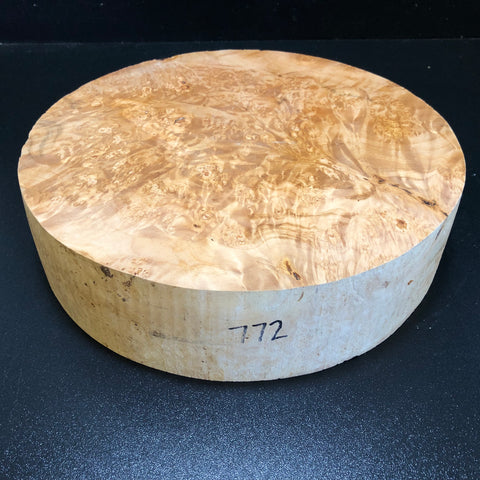 11"x2.5" KD Maple Burl Wood Bowl Turning Blank (#00772)