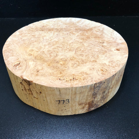 11"x3" KD Maple Burl Wood Bowl Turning Blank (#00773)
