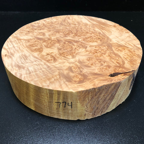 10"x2.5" KD Maple Burl Wood Bowl Turning Blank (#00774)