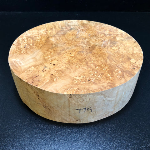 10"x2.5" KD Maple Burl Wood Bowl Turning Blank (#00775)