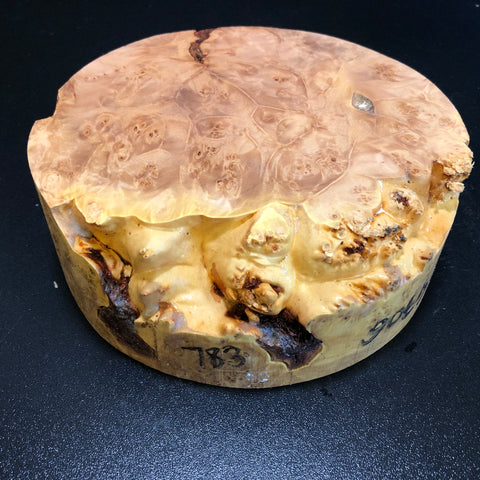 7.5"x2.5" KD Maple Burl Wood Bowl Turning Blank (#00783)