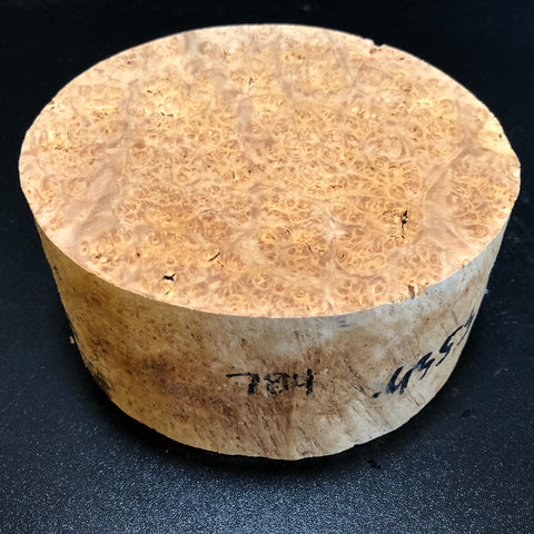7"x3" KD Maple Burl Wood Bowl Turning Blank (#00784)