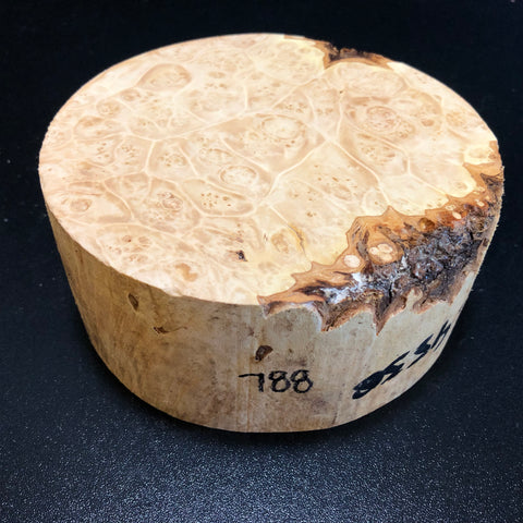 6x2.5 KD Maple Burl Wood Bowl Turning Blank (#00788)