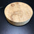 8"x2" KD Curly White Limba Wood Bowl Turning Blank (#00184)