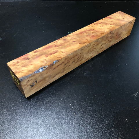 2.5"x2.5"x15.25" Camphor Burl Wood Turning Blank (#00327)