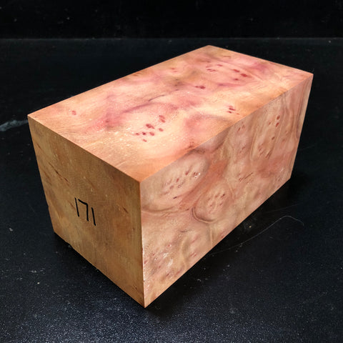 3.75"x3.75"x6.5" Camphor Burl Wood Turning Blank (#00171)
