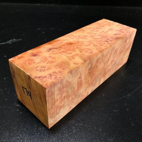 2.75"x2.75"x8" Camphor Burl Wood Turning Blank (#00174)