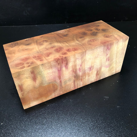 4.5"x4.5"x10" Camphor Burl Wood Turning Blank (#00357)