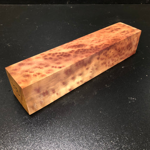 2"x2"x9.5" Camphor Burl Wood Turning Blank (#00373)