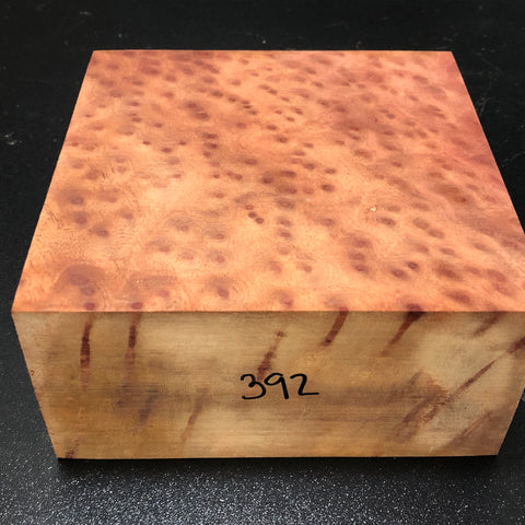6"x6"x3" Camphor Burl Wood Turning Blank (#00392)