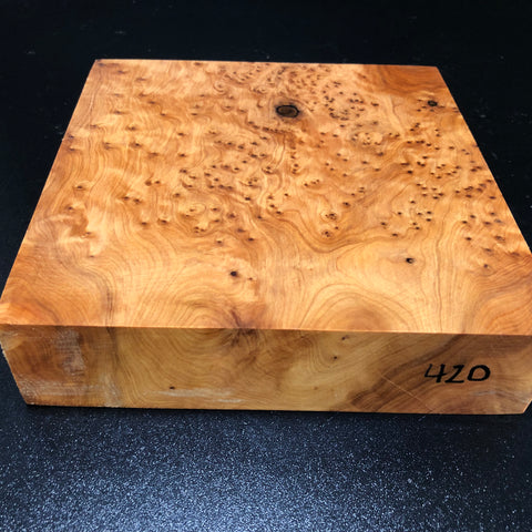 8"x8"x2" Thuya Burl Wood Bowl Turning Blank (#00420)