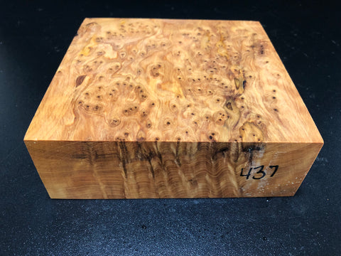6"x6"x2" Thuya Burl Wood Bowl Turning Blank (#00437)