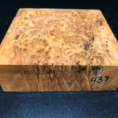 6"x6"x2" Thuya Burl Wood Bowl Turning Blank (#00437)