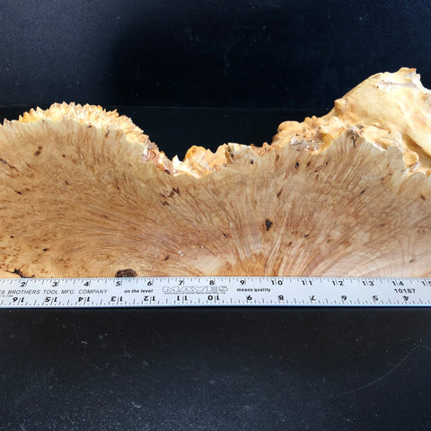 17"x6.5"x2.25" (max height) KD Live Edge Maple Burl Wood Blank (#004)
