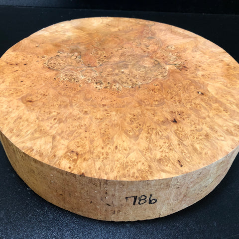 10.5"x2.5" KD Maple Burl Wood Bowl Turning Blank (#00786)