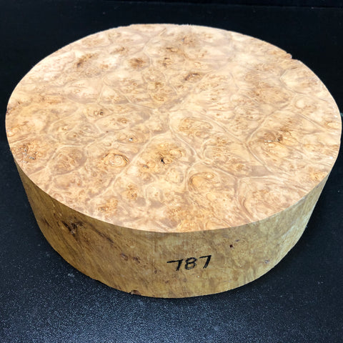 9x2.5 KD Maple Burl Wood Bowl Turning Blank (#00787)