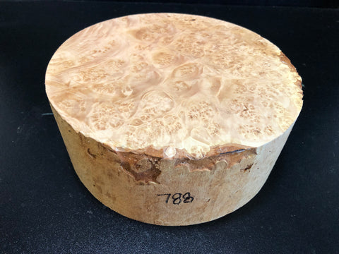 8"x3" KD Maple Burl Wood Bowl Turning Blank (#00788)