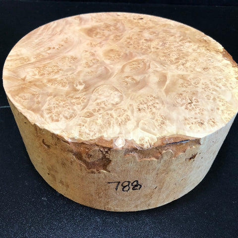 8"x3" KD Maple Burl Wood Bowl Turning Blank (#00788)