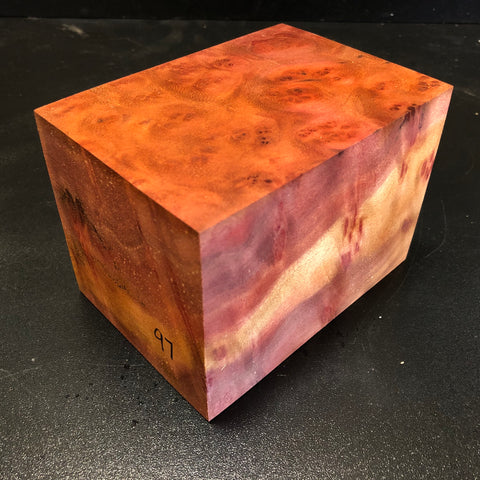 4"x4"x5.5" Camphor Burl Wood Spindle Turning Blank (#0097)