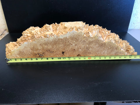 26"x7"x2.5" (max height) KD Live Edge Maple Burl Wood Blank (#007)