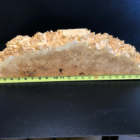 26"x7"x2.5" (max height) KD Live Edge Maple Burl Wood Blank (#007)