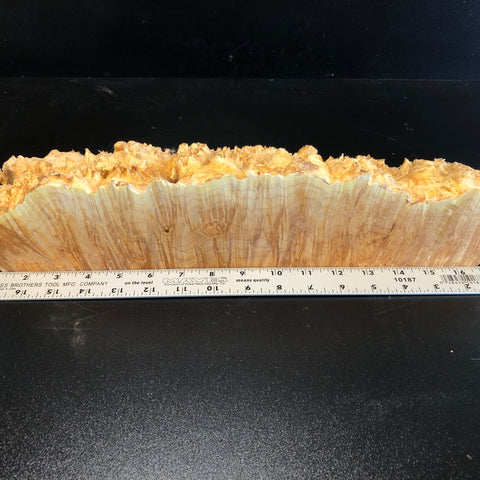 18"x18"x4.75" (max height) KD Live Edge Maple Burl Wood Blank (#009)