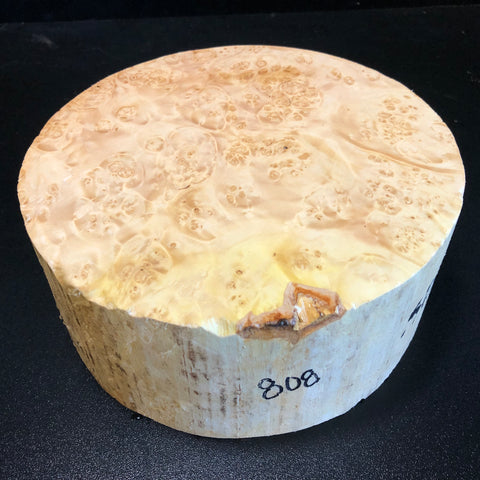 8x3.5 KD Maple Burl Wood Bowl Turning Blank (#00808)