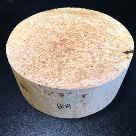 8x3.5 KD Maple Burl Wood Bowl Turning Blank (#00809)