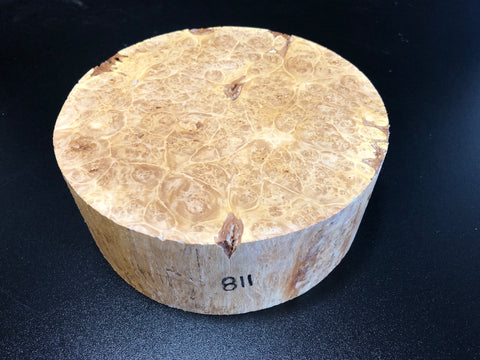 8"x3" KD Maple Burl Wood Bowl Turning Blank (#00811)