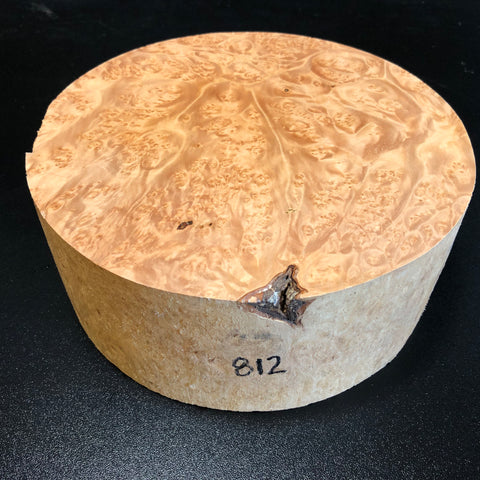 8"x3" KD Maple Burl Wood Bowl Turning Blank (#00812)