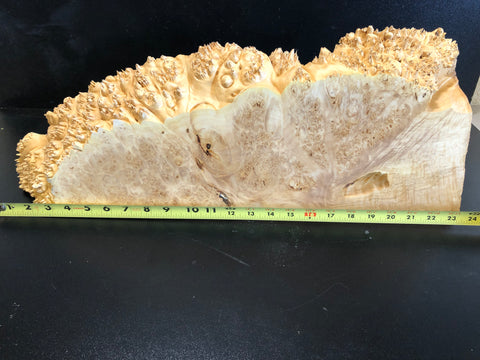 23.5"x8"x2.5" (max height) KD Live Edge Maple Burl Wood Blank (#0012)