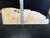 23.5"x8"x2.5" (max height) KD Live Edge Maple Burl Wood Blank (#0012)