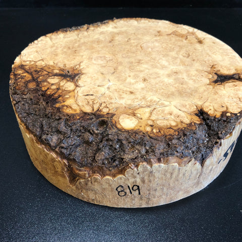 10"x3" KD Maple Burl Wood Bowl Turning Blank (#00819)