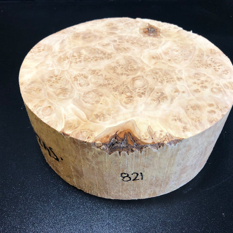 8"x3" KD Maple Burl Wood Bowl Turning Blank (#00821)