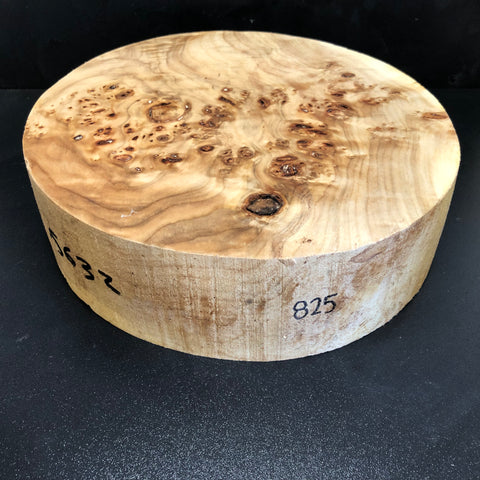 11"x3" KD Cottonwood Burl Wood Bowl Turning Blank (#00825)