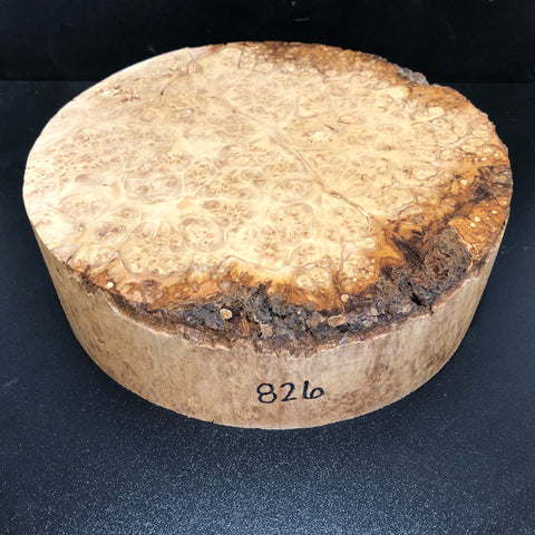 10"x3" KD Maple Burl Wood Bowl Turning Blank (#00826)