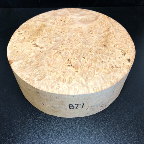 9"x3" KD Maple Burl Wood Bowl Turning Blank (#00827)