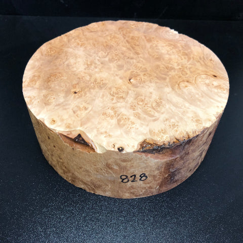 8"x3" KD Maple Burl Wood Bowl Turning Blank (#00828)