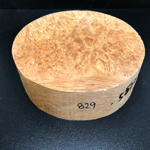 8"x2.5" KD Maple Burl Wood Bowl Turning Blank (#00829)