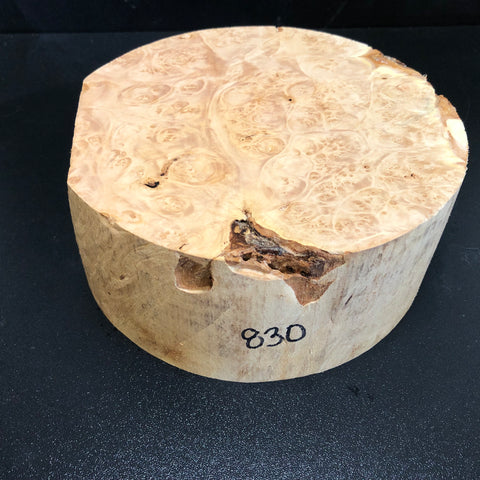 7"x3" KD Maple Burl Wood Bowl Turning Blank (#00830)