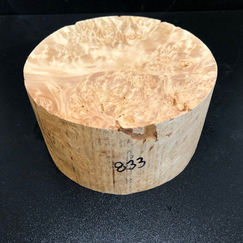 6"x3" KD Maple Burl Wood Bowl Turning Blank (#00833)