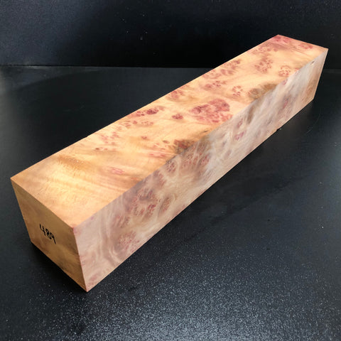 3"x3"x16.25" Camphor Burl Wood Spindle Turning Blank (#00489)
