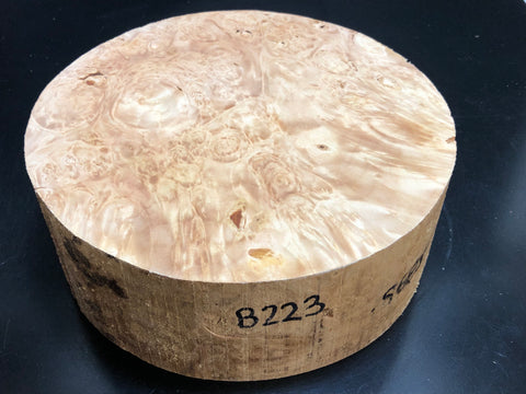 9"x3" KD Maple Burl Wood Bowl Turning Blank (#00223)