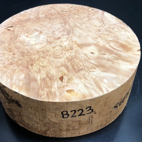 9"x3" KD Maple Burl Wood Bowl Turning Blank (#00223)