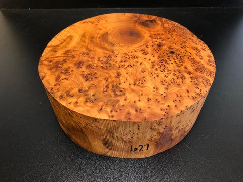 8"x3" Thuya Burl Wood Bowl Turning Blank (#00627)