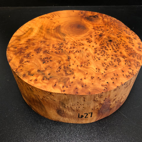 8"x3" Thuya Burl Wood Bowl Turning Blank (#00627)