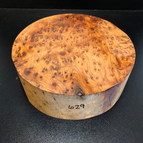 8"x3" Thuya Burl Wood Bowl Turning Blank (#00629)