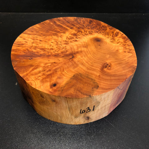 8"x3" Thuya Burl Wood Bowl Turning Blank (#00631)